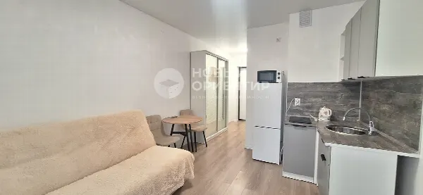 Студия, 19.6 м², 8/25 эт.