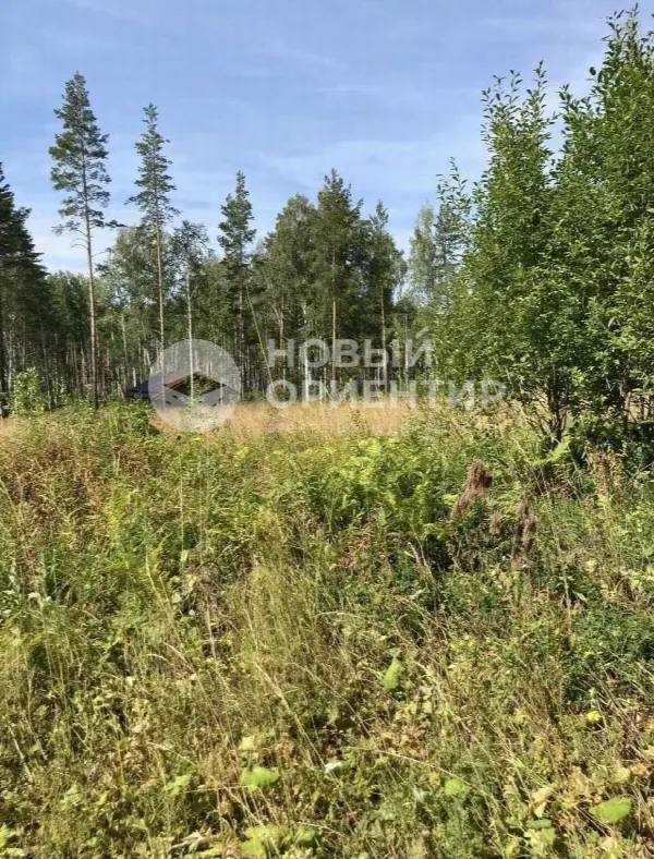 Земельный участок, 15 сот.