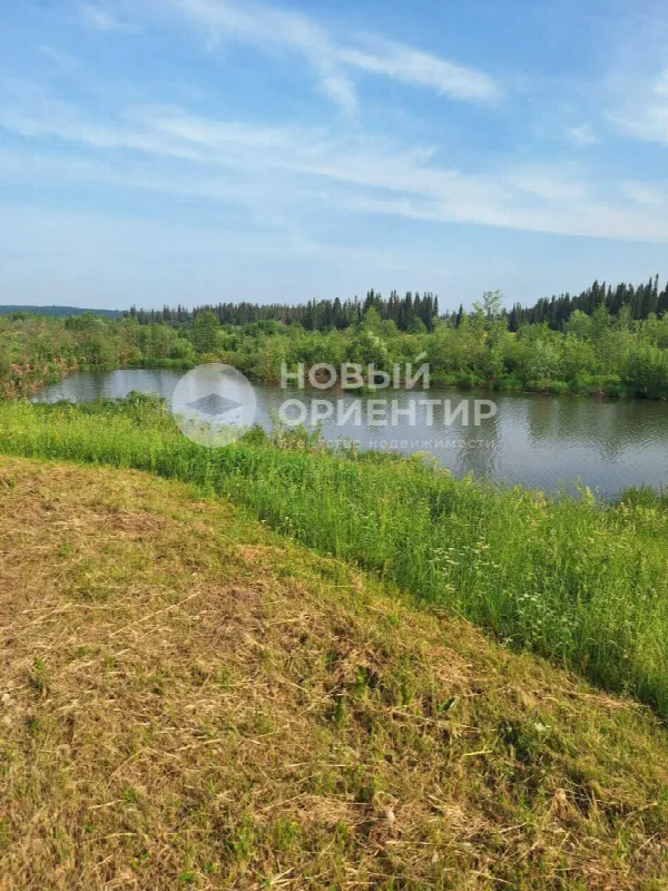 Дом, 41.3 м², участок 23 сот.