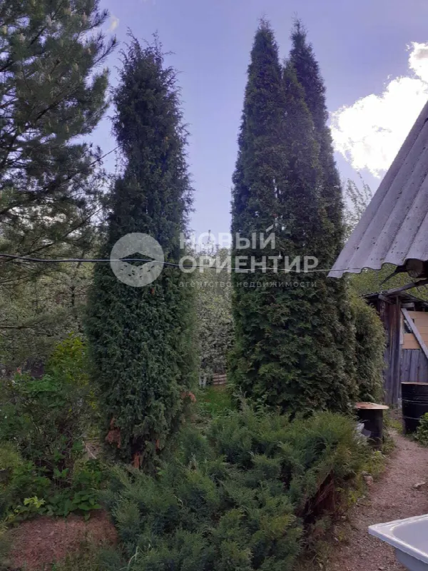 Дача, 50 м², участок 10.9 сот.