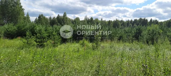 Земельный участок, 100.2 сот.