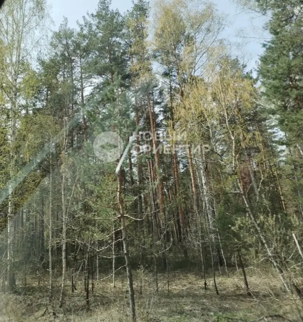 Земельный участок, 30 сот.