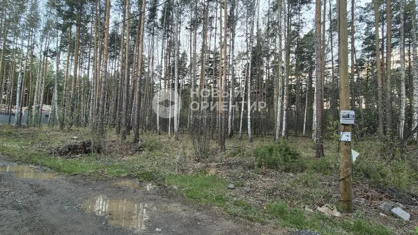 Земельный участок, 10.01 сот.